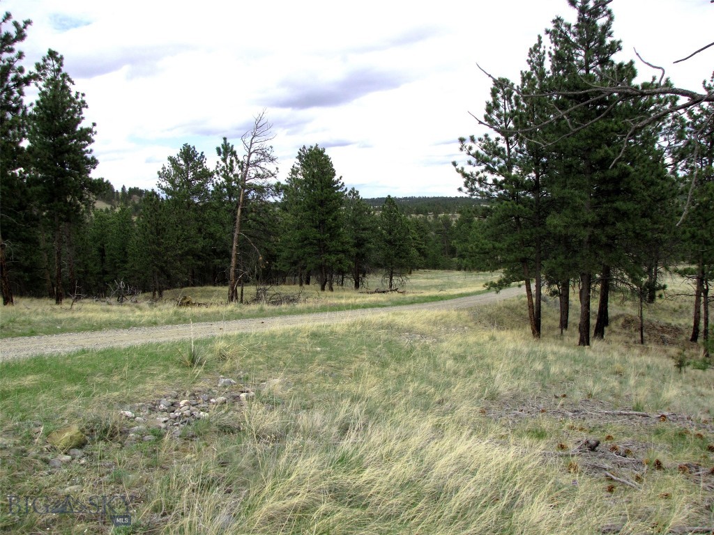 Tbd Wild Turkey Ridge Road Property Photo 28