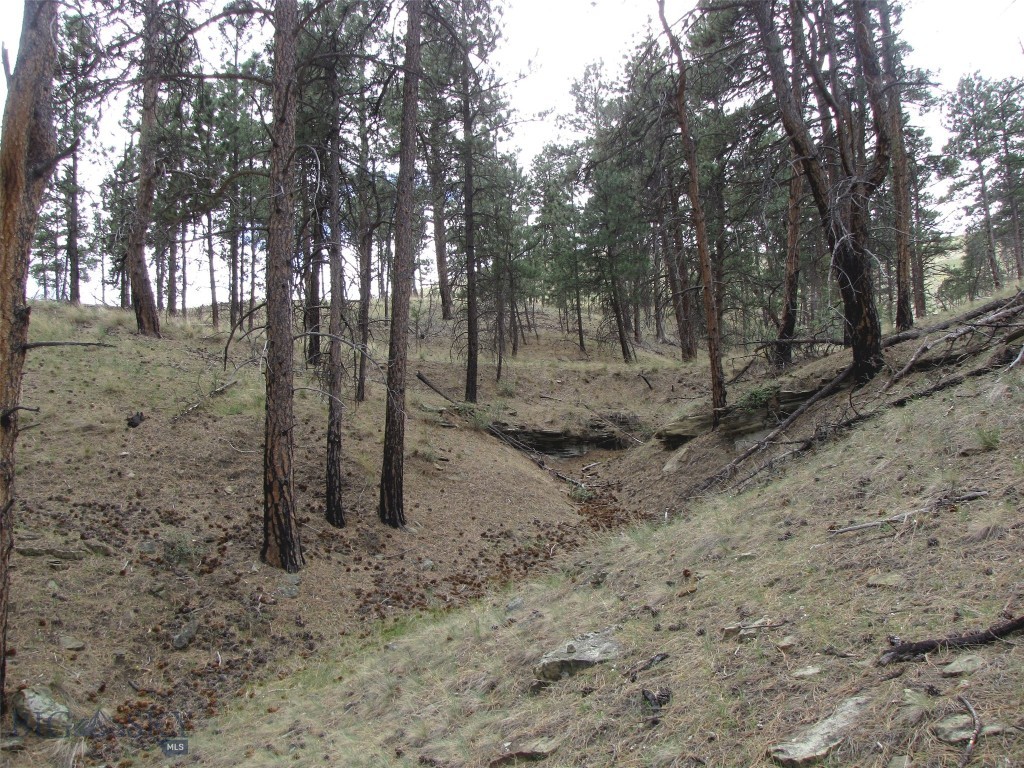 Tbd Wild Turkey Ridge Road Property Photo 29
