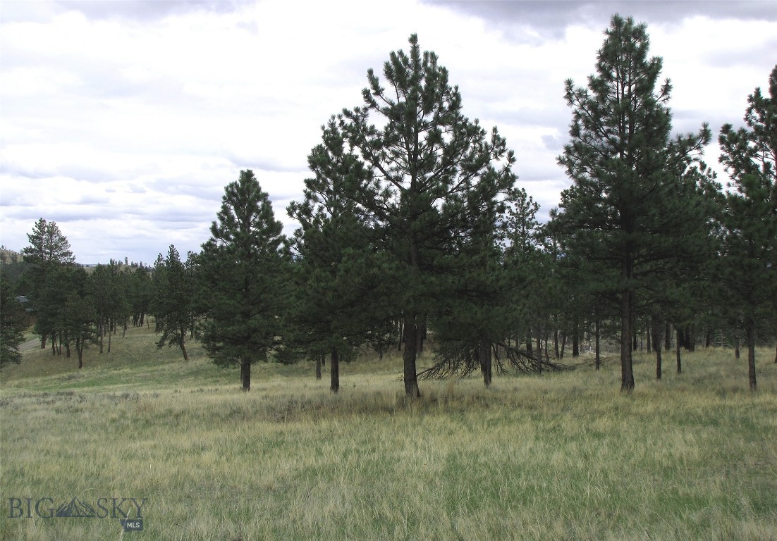 Tbd Wild Turkey Ridge Road Property Photo 33