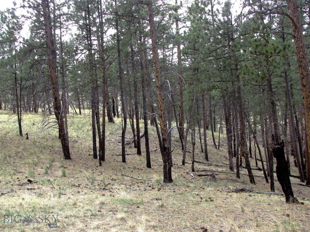 Tbd Wild Turkey Ridge Road Property Photo 37