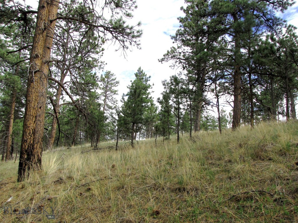Tbd Wild Turkey Ridge Road Property Photo 44