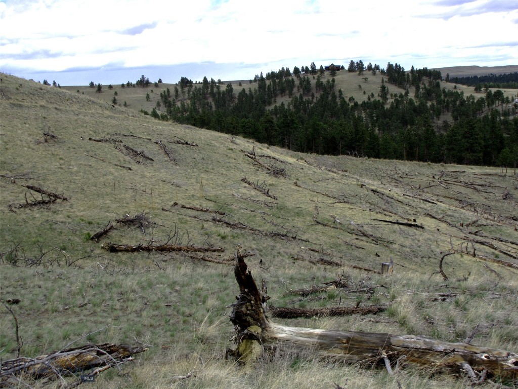 Tbd Wild Turkey Ridge Road Property Photo 45