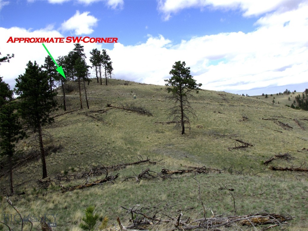 Tbd Wild Turkey Ridge Road Property Photo 49