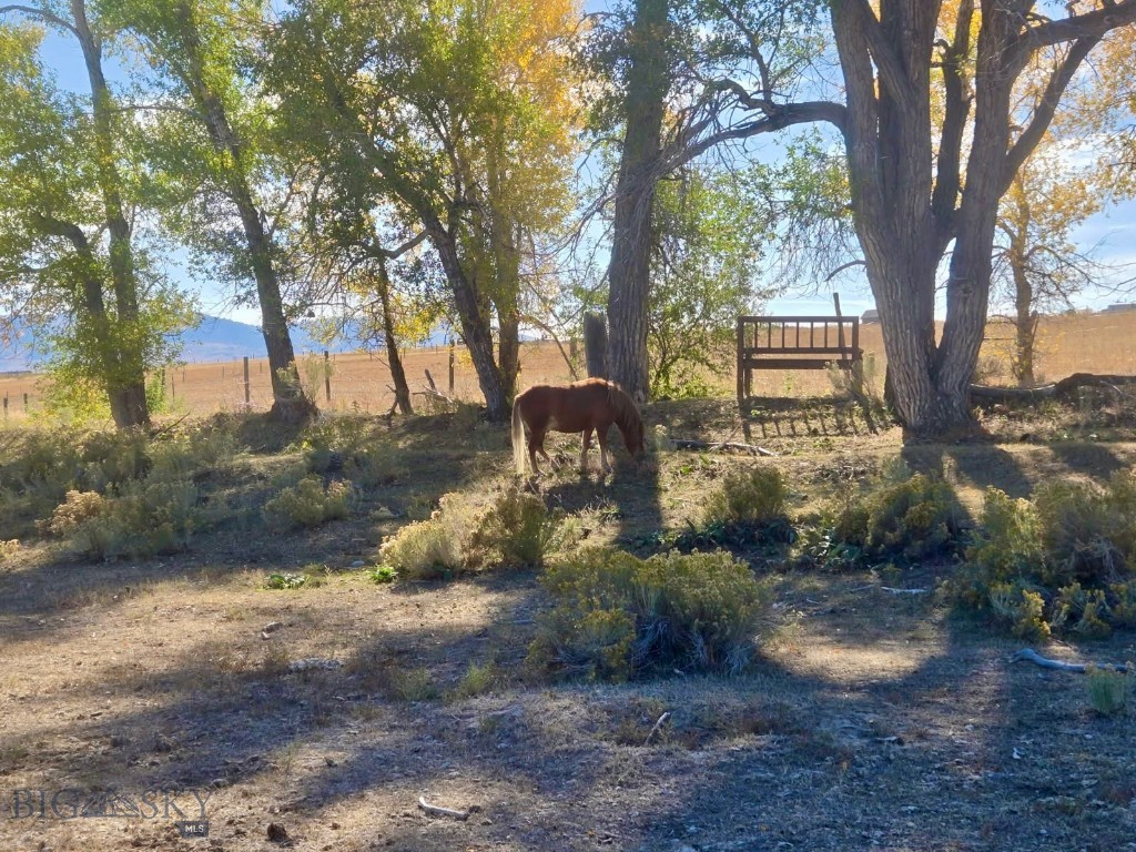 3957 Blacktail Road Property Photo 35