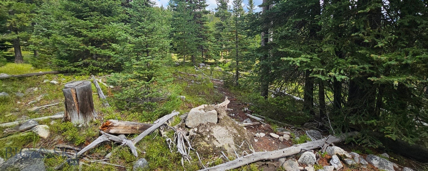 410949 Property Photo 25