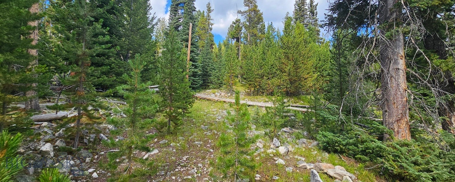 410949 Property Photo 27