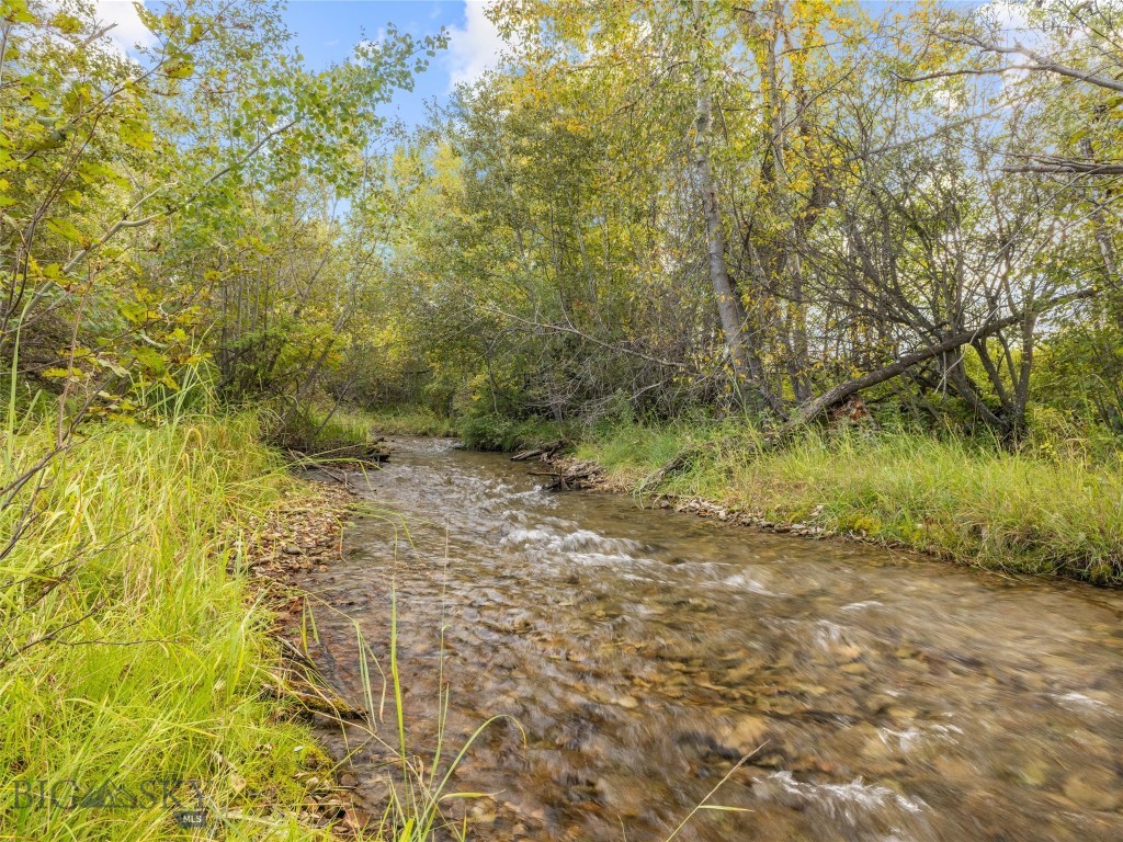 Tbd Springhill Community Road Property Photo 7
