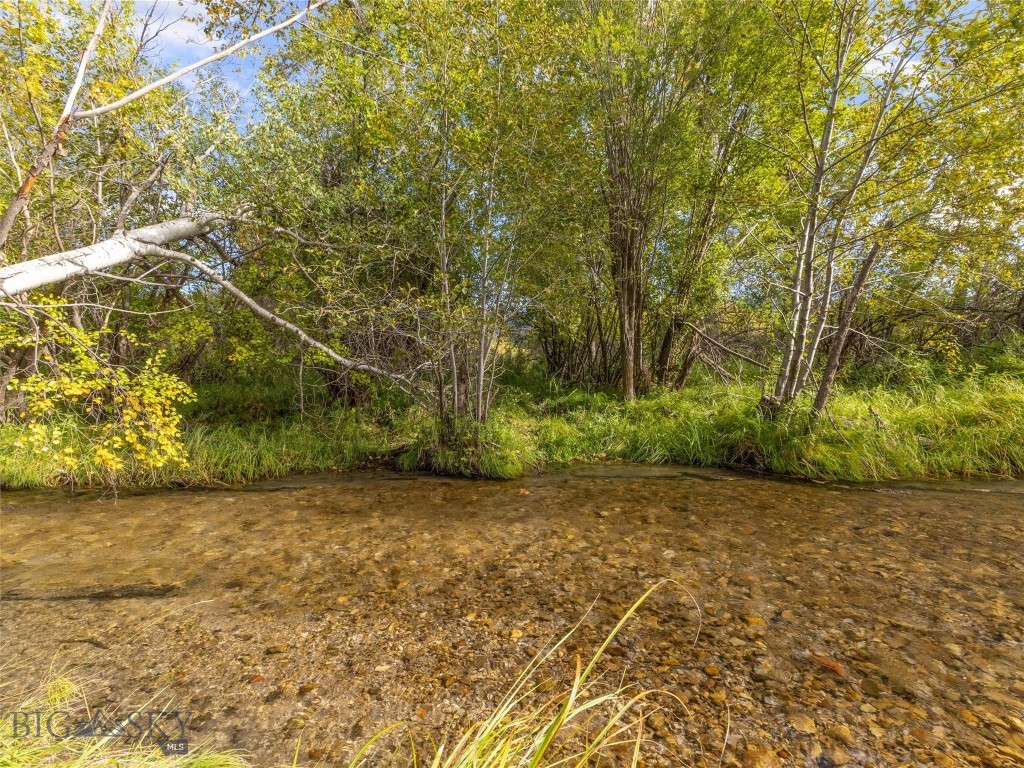 Tbd Springhill Community Road Property Photo 8