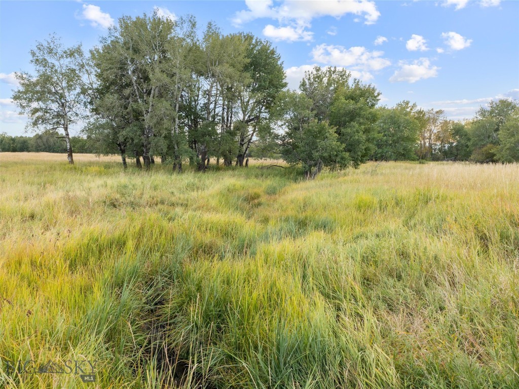 Tbd Springhill Community Road Property Photo 9