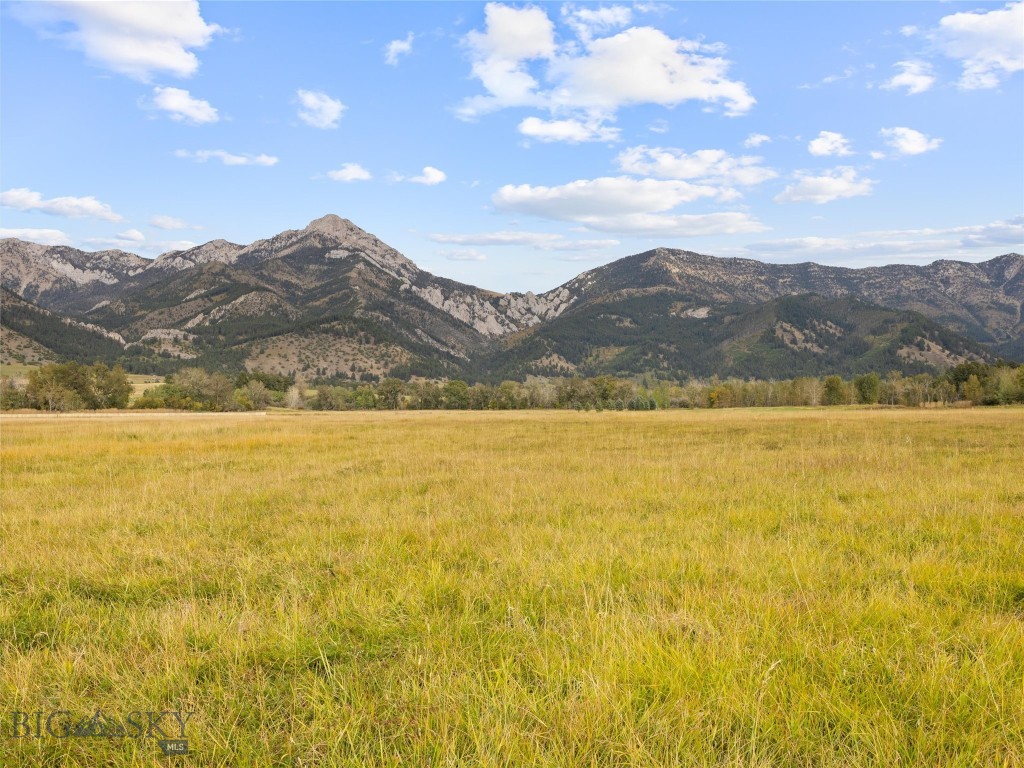 Tbd Springhill Community Road Property Photo 12