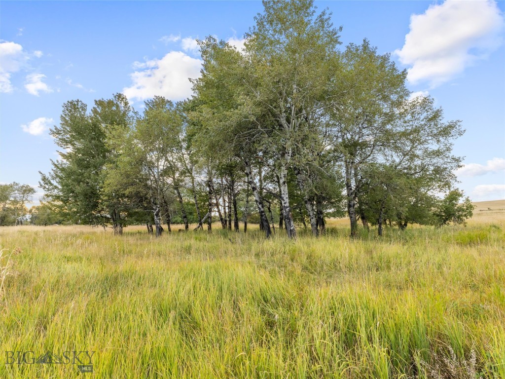 Tbd Springhill Community Road Property Photo 13