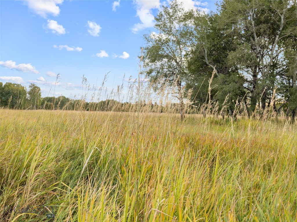 Tbd Springhill Community Road Property Photo 16
