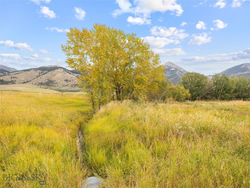 Tbd Springhill Community Road Property Photo 17