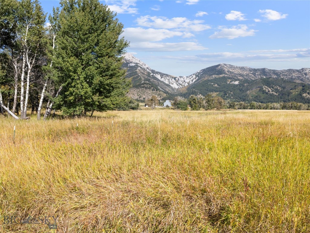 Tbd Springhill Community Road Property Photo 26