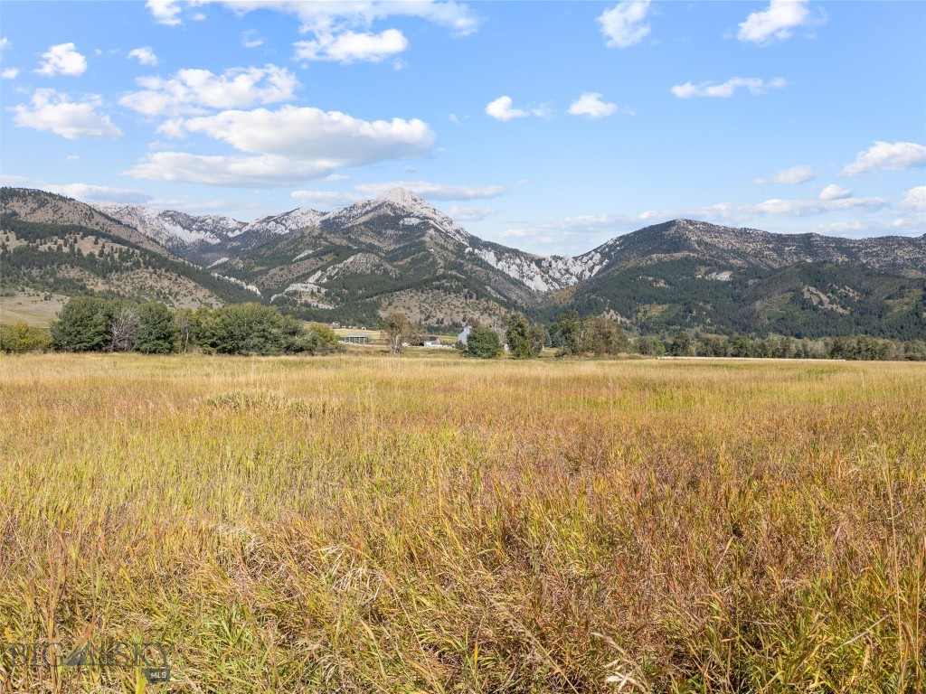 Tbd Springhill Community Road Property Photo 28