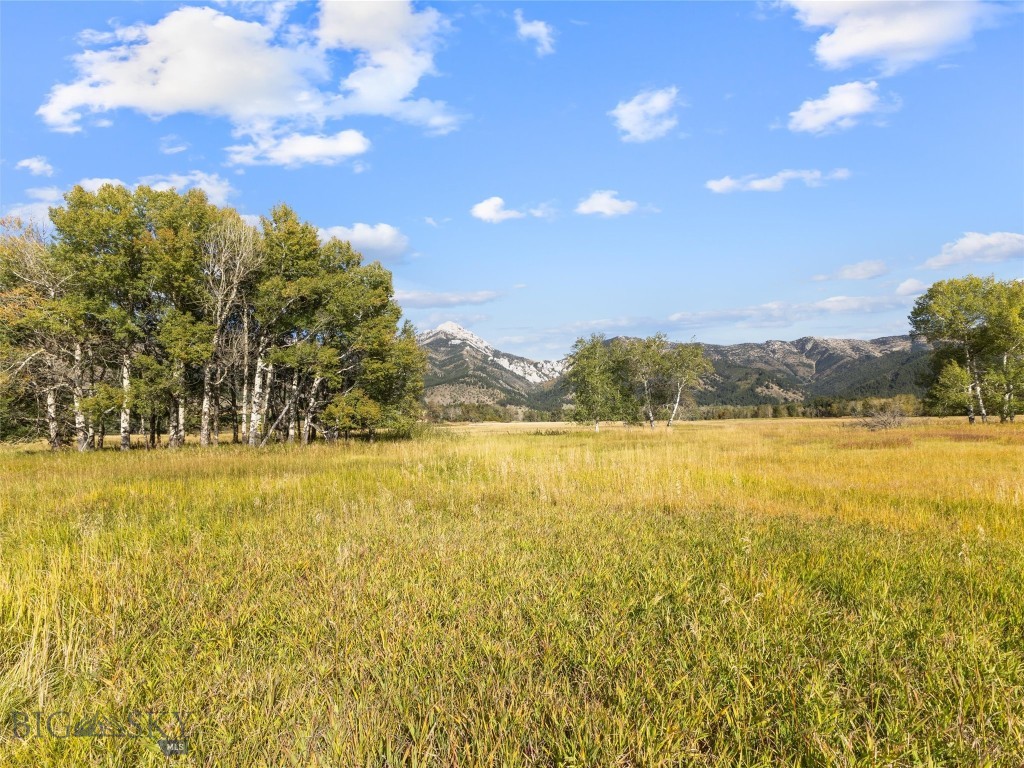 Tbd Springhill Community Road Property Photo 30
