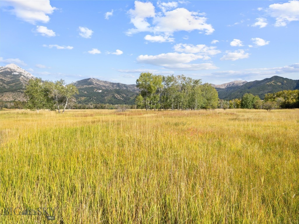 Tbd Springhill Community Road Property Photo 34