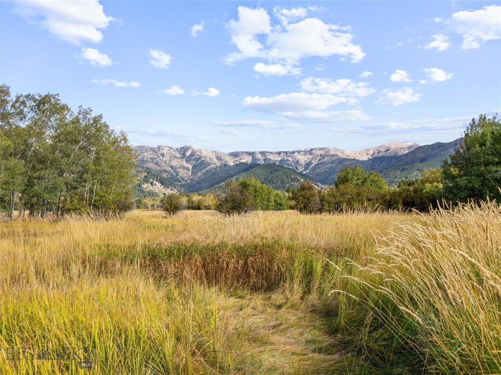 Tbd Springhill Community Road Property Photo 37