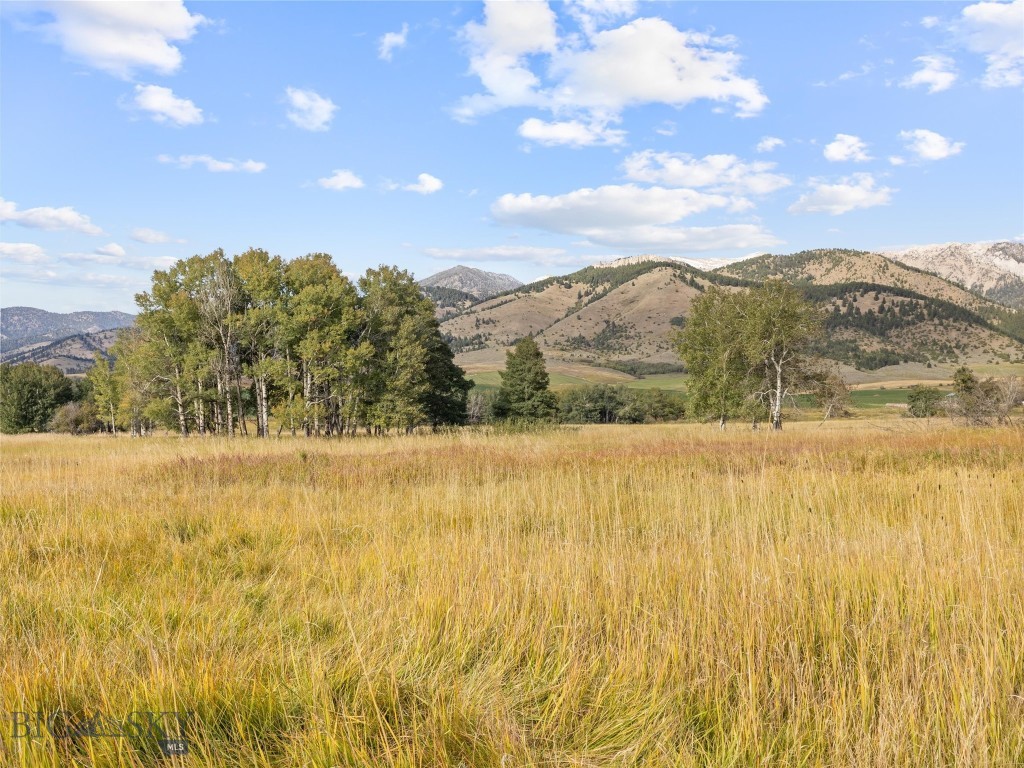 Tbd Springhill Community Road Property Photo 38