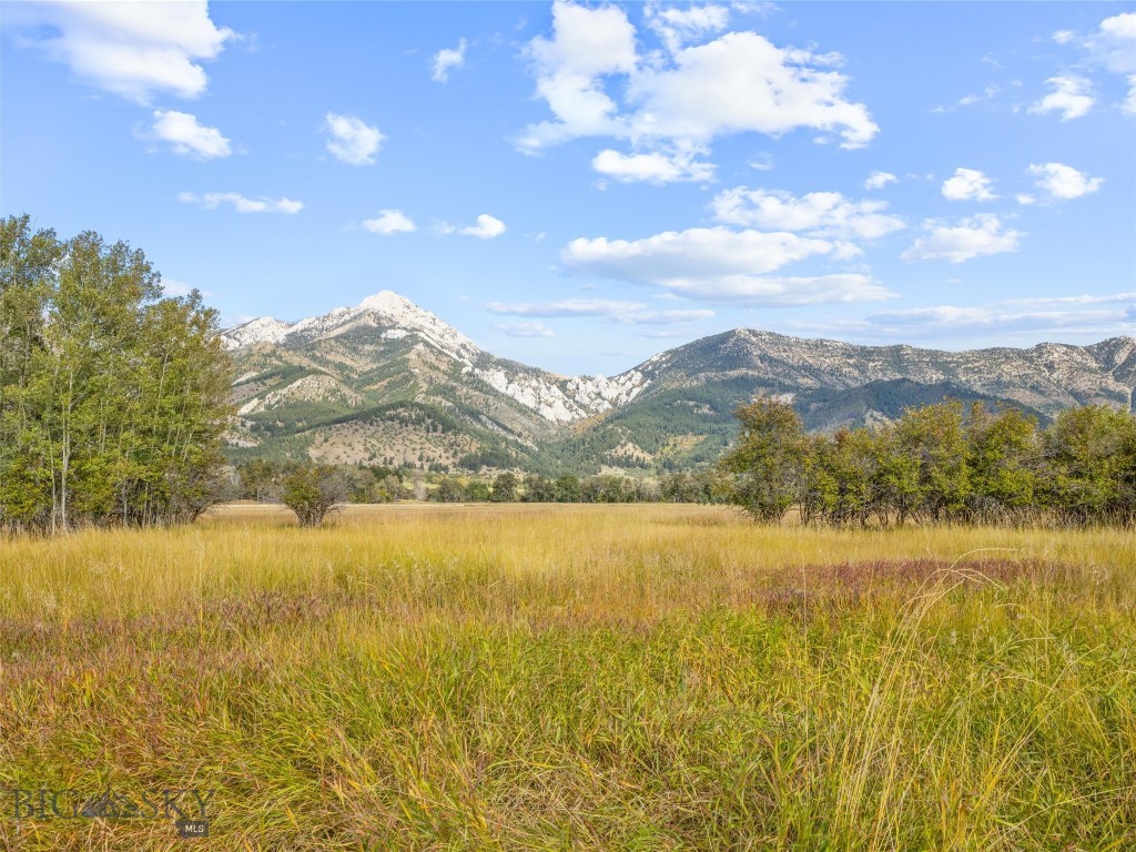 Tbd Springhill Community Road Property Photo 40