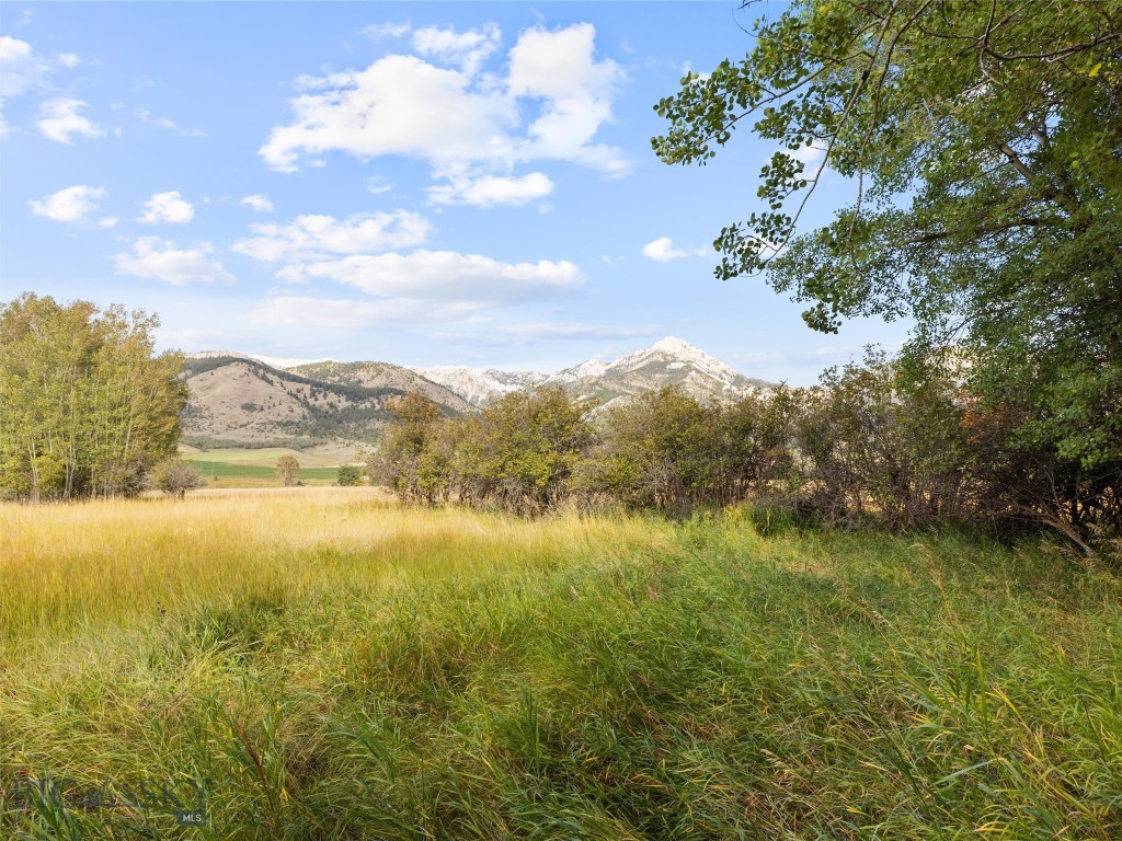 Tbd Springhill Community Road Property Photo 41