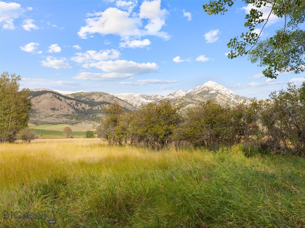 Tbd Springhill Community Road Property Photo 42