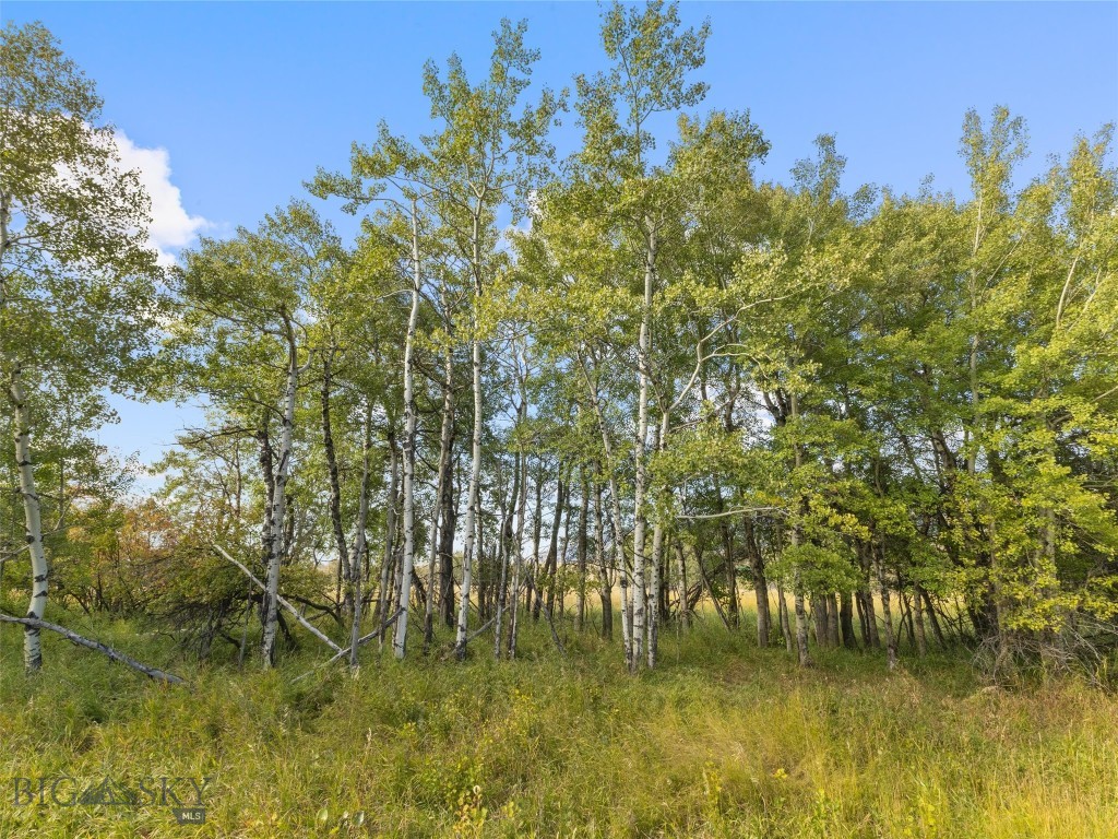 Tbd Springhill Community Road Property Photo 44