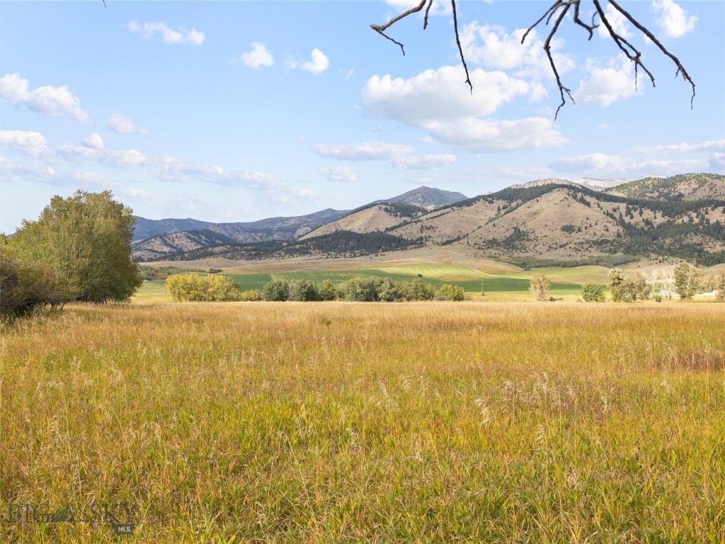 Tbd Springhill Community Road Property Photo 51