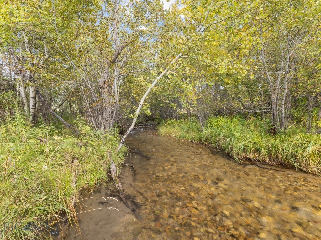 Tbd Springhill Community Road Property Photo 53