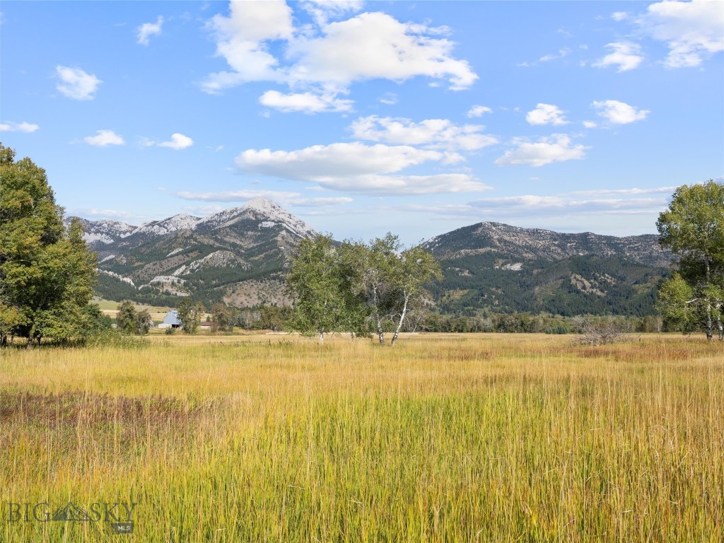 Tbd Springhill Community Road Property Photo 76