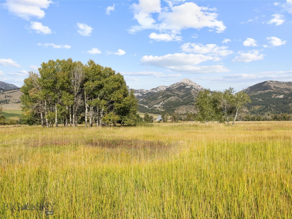 Tbd Springhill Community Road Property Photo 77