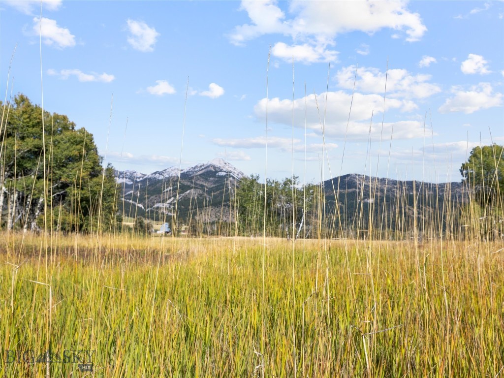 Tbd Springhill Community Road Property Photo 79