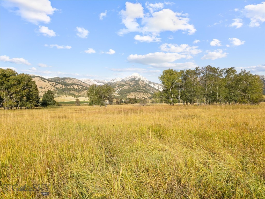 Tbd Springhill Community Road Property Photo 80