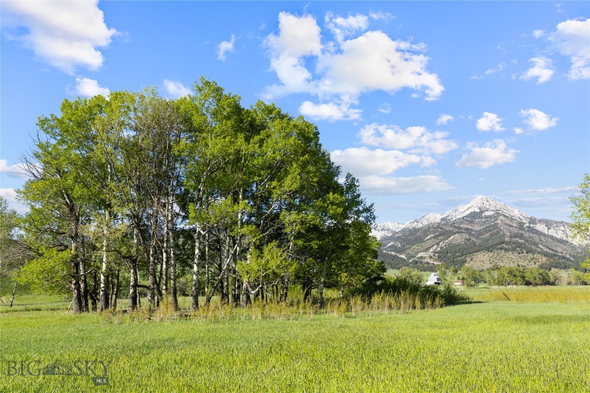 Tbd Springhill Community Road Property Photo 85