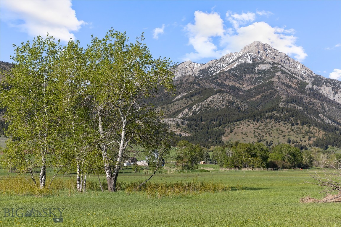 Tbd Springhill Community Road Property Photo 86