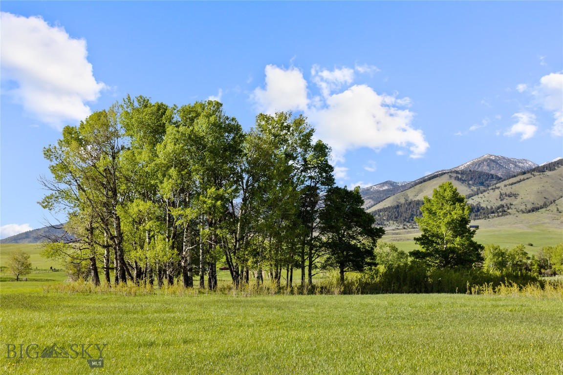 Tbd Springhill Community Road Property Photo 87
