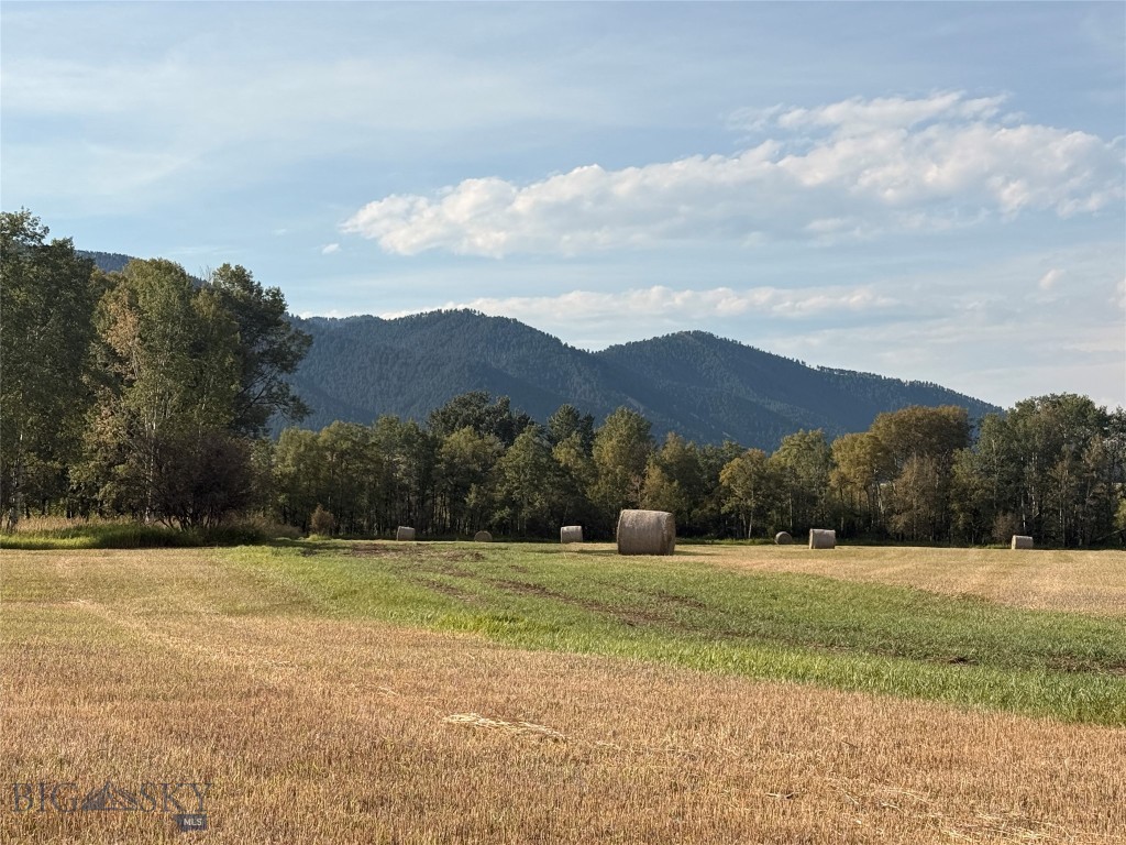 Tbd Springhill Community Road Property Photo 91