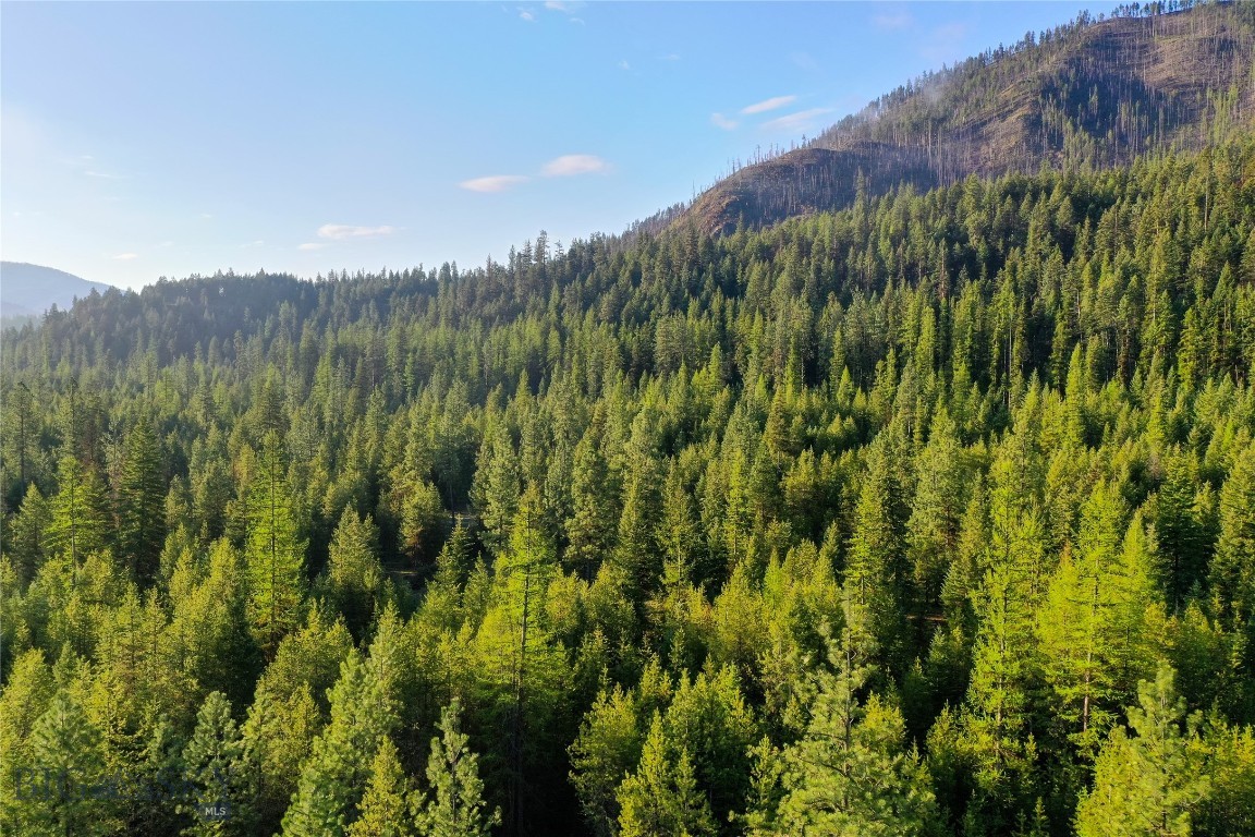 Tbd Cougar Creek Way Property Photo 10