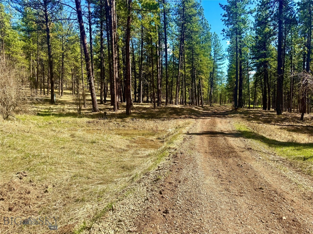 Tbd Nine Mile Road Property Photo 10