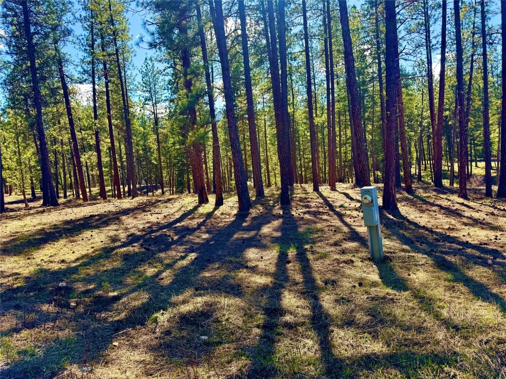 Tbd Nine Mile Road Property Photo 27