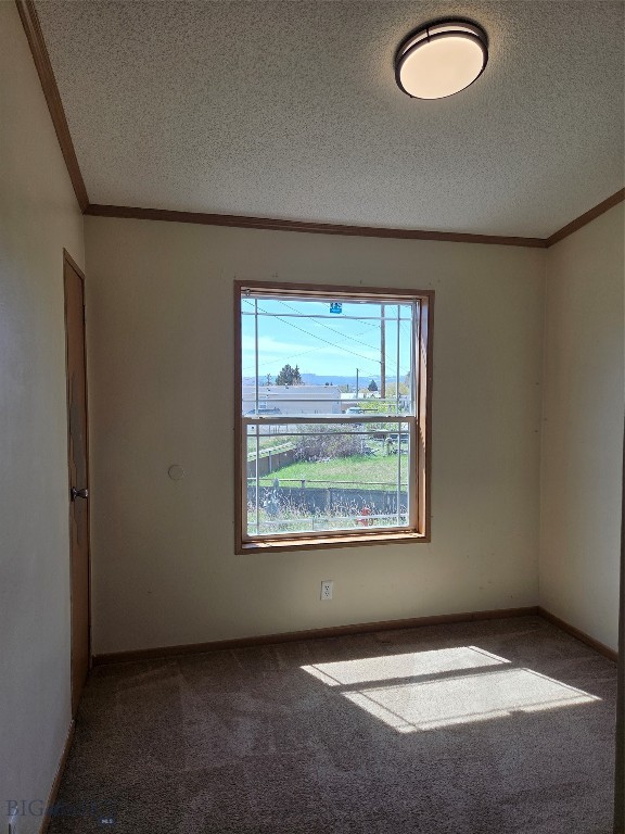 2904 Walnut Property Photo 16