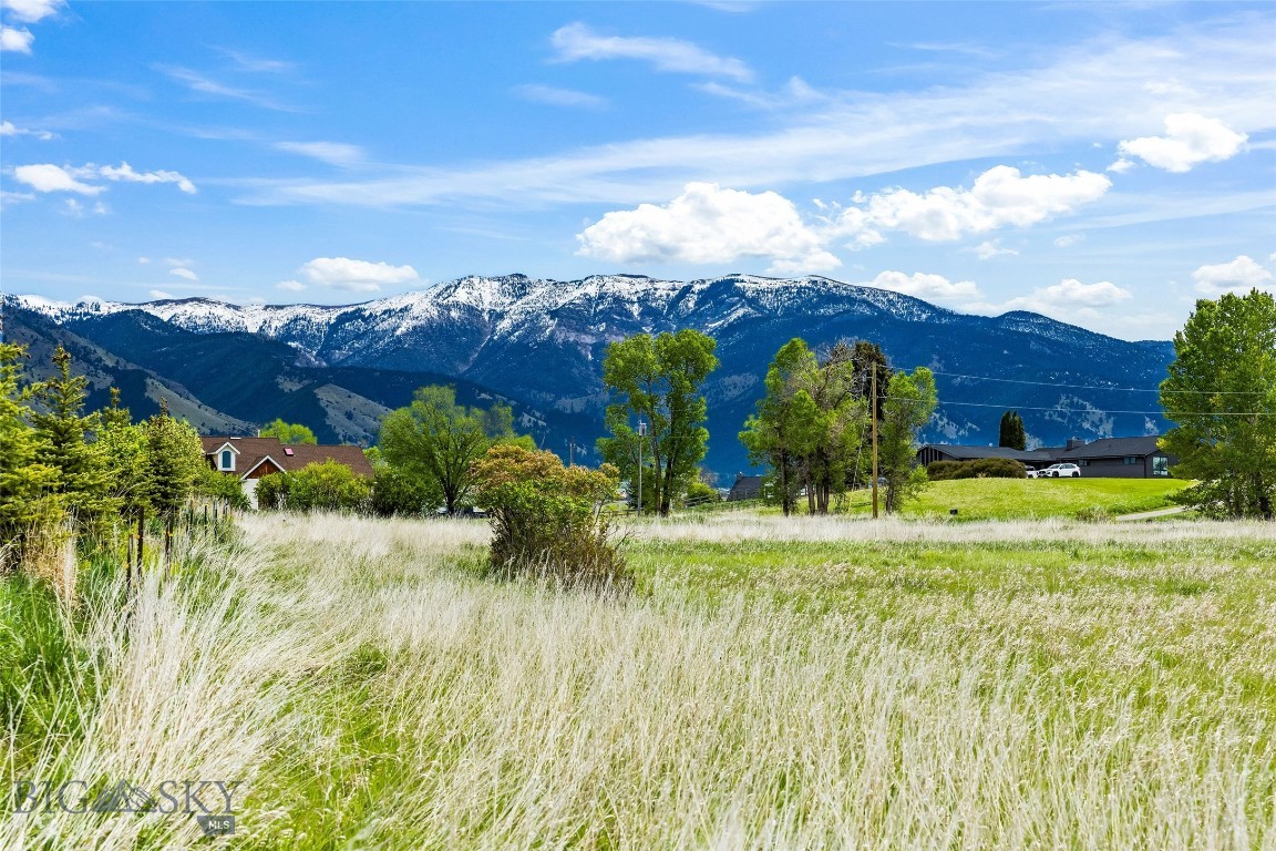 Lot 2 Tbd Longhorn Spur Property Photo 3