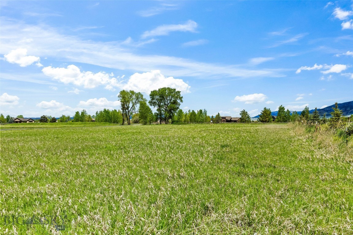 Lot 2 Tbd Longhorn Spur Property Photo 9