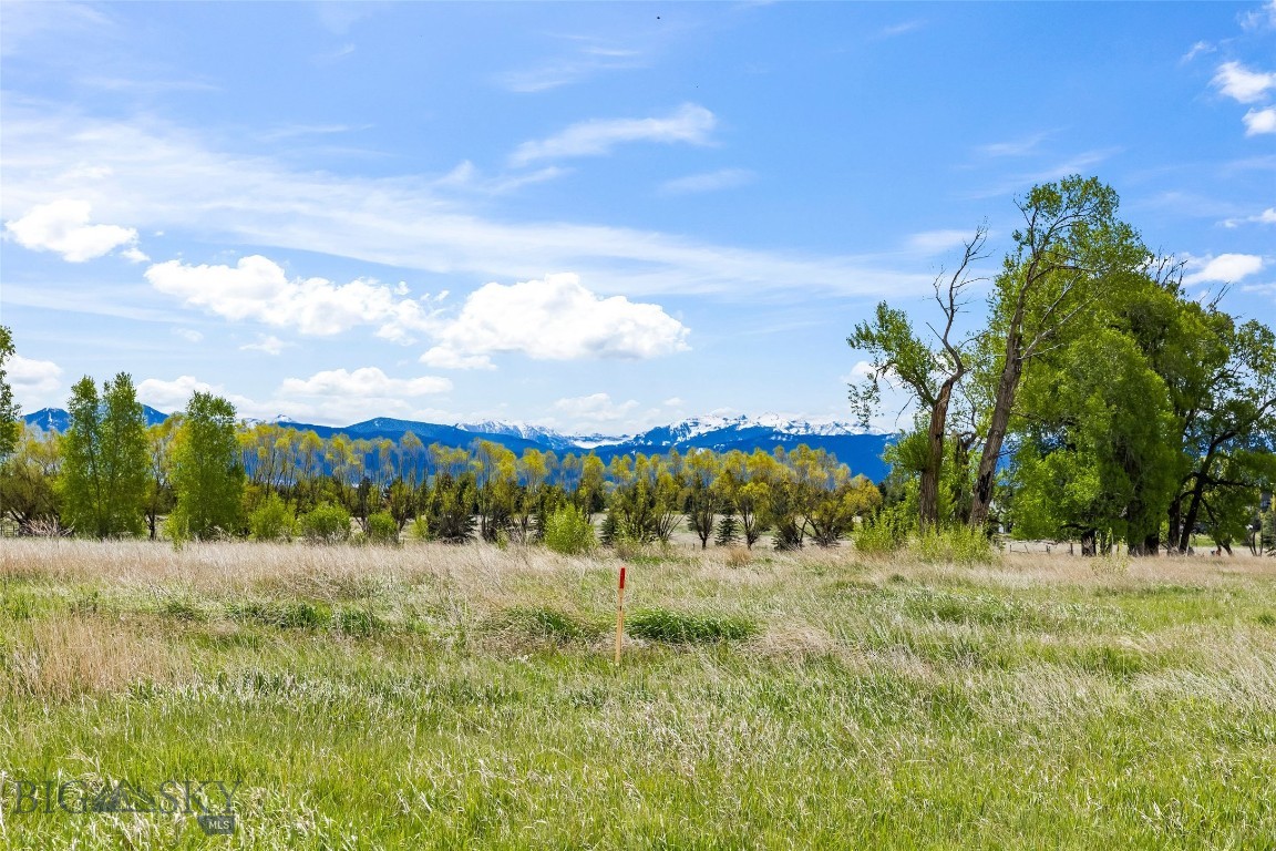 Lot 2 Tbd Longhorn Spur Property Photo 14