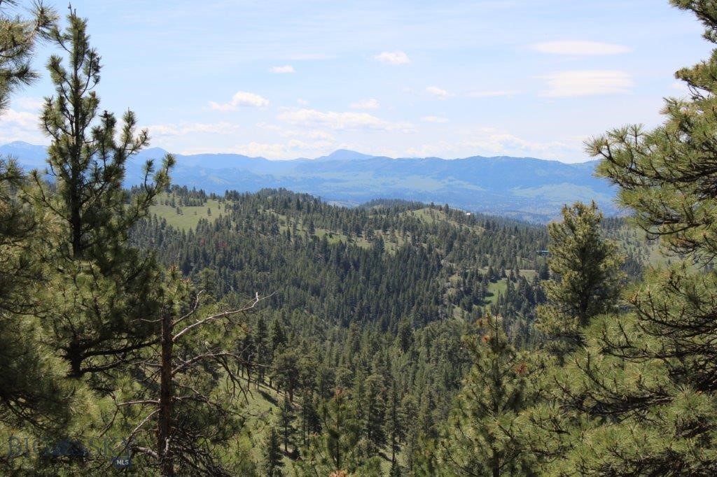 6 Pine Coulee Property Photo 2