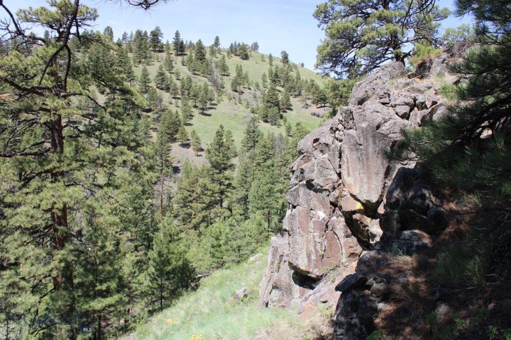 6 Pine Coulee Property Photo 4