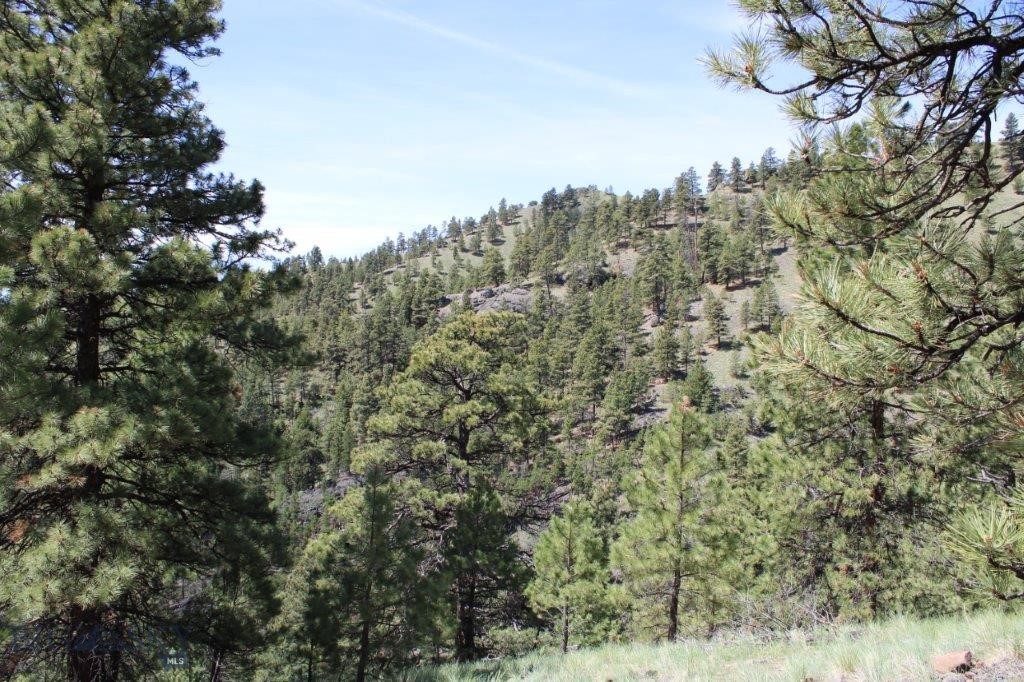6 Pine Coulee Property Photo 6