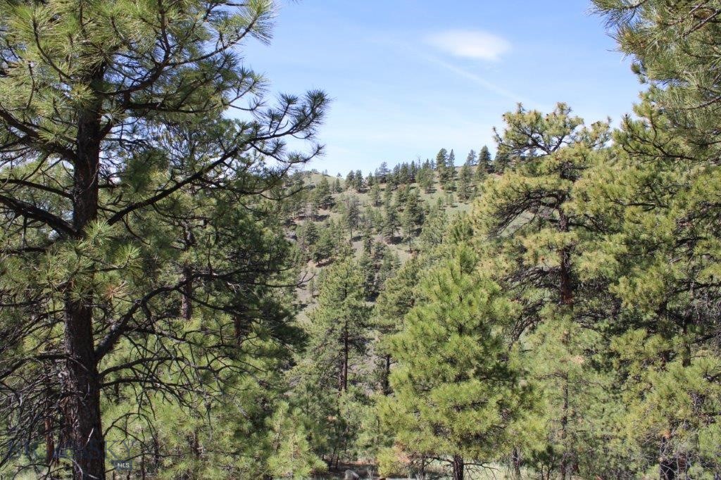 6 Pine Coulee Property Photo 10