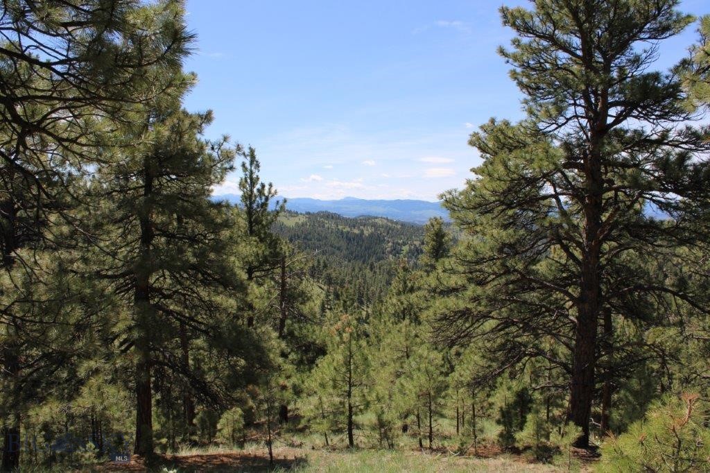 6 Pine Coulee Property Photo 11