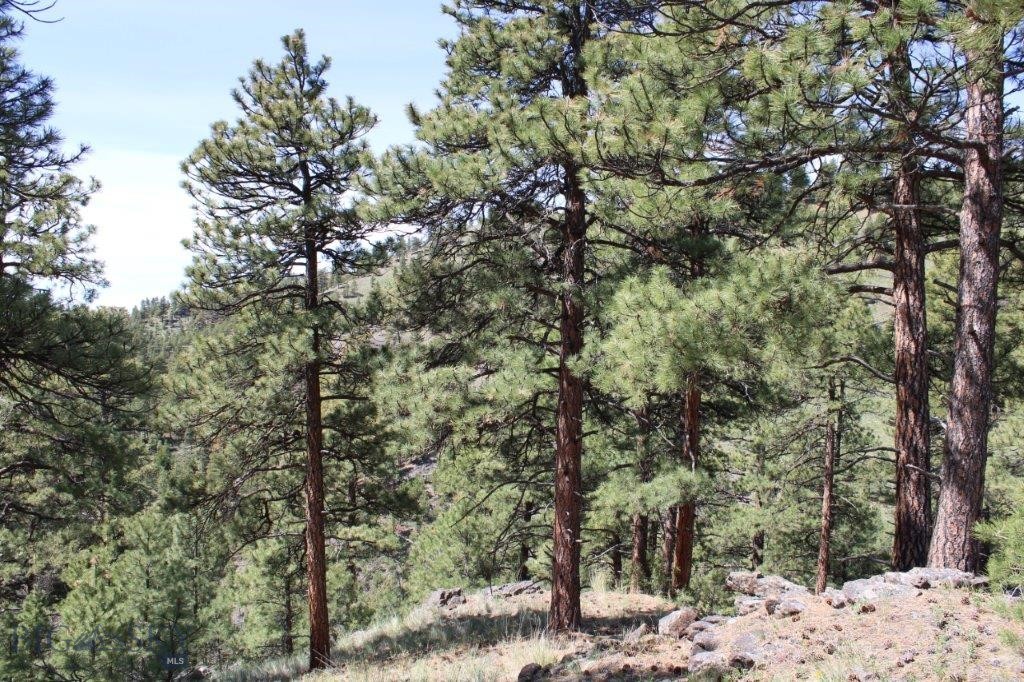 6 Pine Coulee Property Photo 15